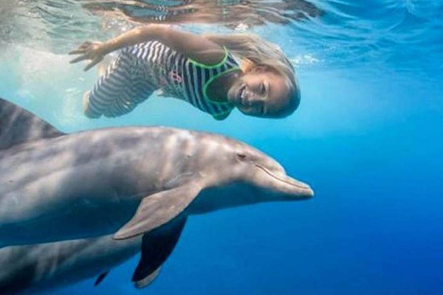 Journee-avec-Dauphins-
